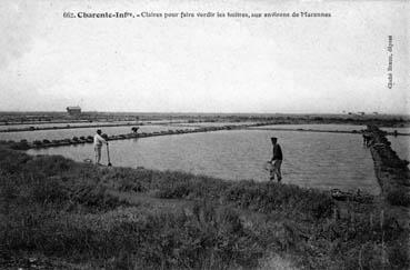 Iconographie - Claires pour faire verdir les huîtres, aux environs de Marennes