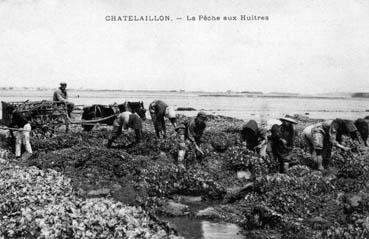 Iconographie - La pêche aux huîtres