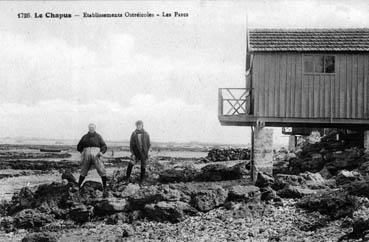 Iconographie - Le Chapus - Etablissements ostréicoles - Les parcs