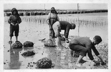 Iconographie - Bassin d'Arcachon - La pêche aux huîtres