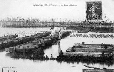 Iconographie - Côte d'Argent - Un parc à huîtres