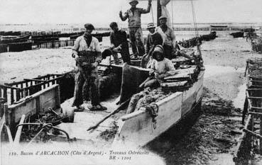 Iconographie - Bassin d'Arcachon - Côte d'Argent - Travaux ostréicoles