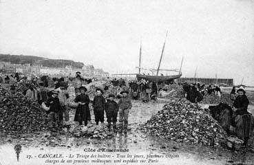 Iconographie - La Côte d'Emeraude - La pêche aux huîtres un jour de grande marée