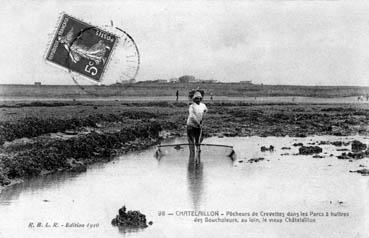 Iconographie - Pêcheurs de crevettes dans les parcs à huîtres des boucholeurs