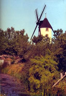 Iconographie - Au pays de Monts - La rivière