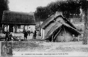 Iconographie - Bourrines dans la forêt de pins