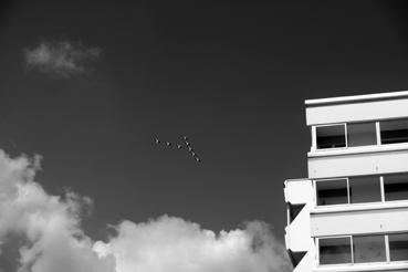 Iconographie - Spectacle de la Patrouille de France