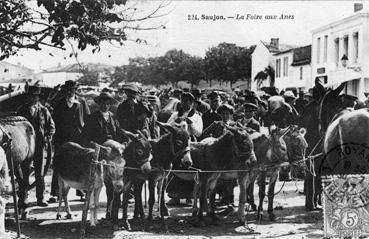 Iconographie - La foire aux ânes