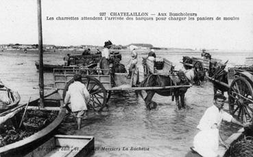 Iconographie - Aux boucholeurs les charrettes attendent l'arrivée des barques