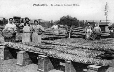 Iconographie - Le séchage des sardines à l'usine