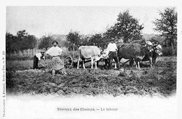 Iconographie - Travaux des champs - Le labour