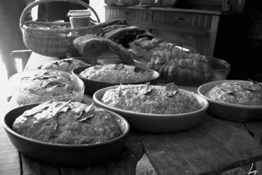 Iconographie - Charcuterie à Barrot - Les pâtés en attente de cuisson au four