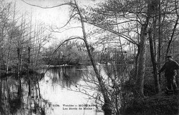 Iconographie - Les bords de la Maine