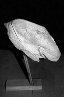 Iconographie - Sur-coiffe d'un bonnet dit "lolotte"