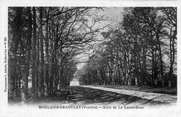 Iconographie - Allée de la Lande-Buor