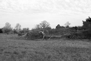 Iconographie - L'ancienne carrière de calcaire du Mollin