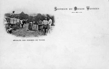 Iconographie - Souvenir du Bocage Vendée - Récolte de pommes de terre