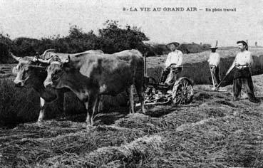 Iconographie - La vie au grand air - En plein travail