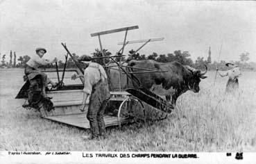 Iconographie - Les travaux des champs pendant la guerre