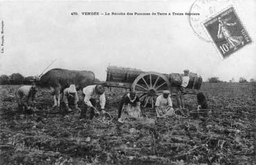 Iconographie - La récolte de pommes de terre à Treize-Septiers
