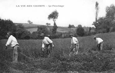 Iconographie - La vie aux champs - Le fauchage