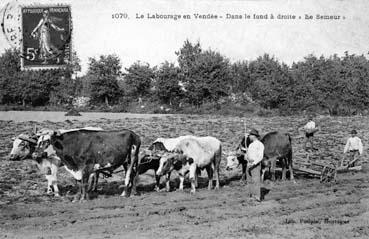 Iconographie - Le labourage en Vendée - Dans le fond à droite la semeur