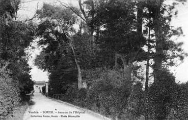 Iconographie - Avenue de l'hôpital