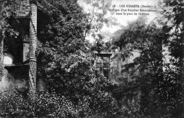 Iconographie - Vestiges d'un escalier renaissance dans le parc du château