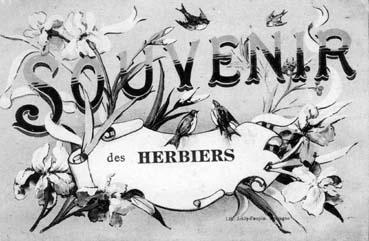 Iconographie - Souvenir des Herbiers