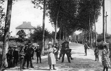 Iconographie - Avenue du Petit-Bourg des Herbiers