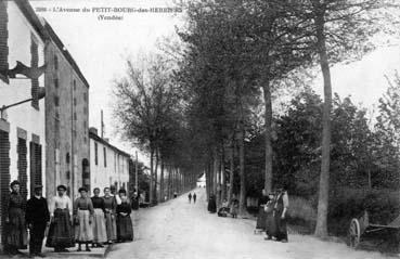 Iconographie - L'avenue du Petit-Bourg-des-Herbiers