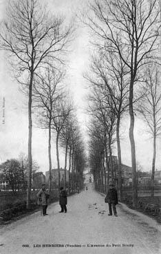 Iconographie - L'avenue du Petit-Bourg