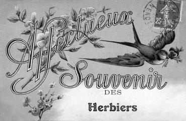 Iconographie - Affectueux souvenir des Herbiers