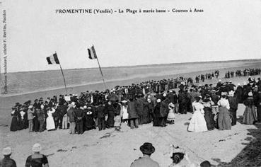 Iconographie - La plage à marée basse - Courses d'ânes