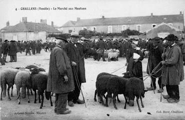 Iconographie - Le marché aux moutons