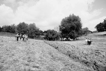 Iconographie - Journée d'étude du liage des bovins, à la ferme du Puy du Fou