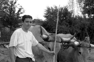 Iconographie - Journée d'étude du liage des bovins, à la ferme du Puy du Fou