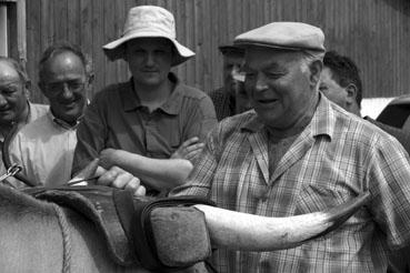 Iconographie - Journée d'étude du liage des bovins, à la ferme du Puy du Fou