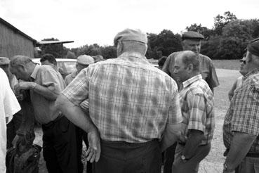 Iconographie - Journée d'étude du liage des bovins, à la ferme du Puy du Fou
