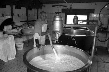 Iconographie - Fromagerie de Beaufort de Jean dans l'alpage