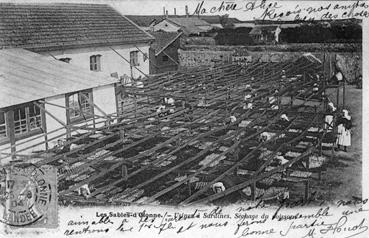 Iconographie - Usine à Sardines. Le séchage du poisson