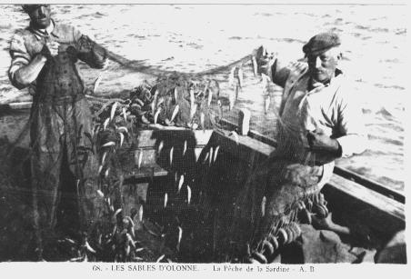 iconographie - La pêche de la sardine