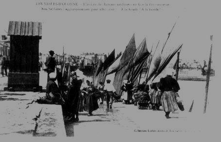 Iconographie - L'arrivée des bateaux sardiniers