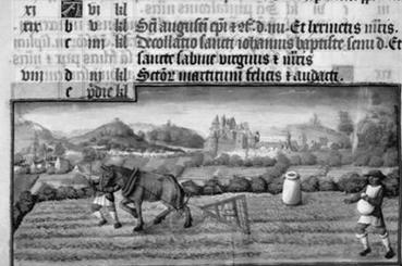 Iconographie - Image médiévale - Hersage et semailles