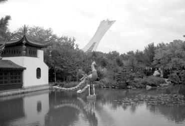 Iconographie - Le jardin botanique, scène chinoise