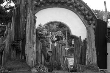 Iconographie - Le jardin botanique, scène chinoise