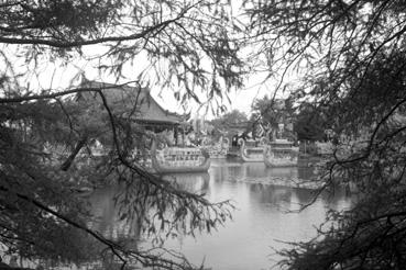 Iconographie - Le jardin botanique, scène chinoise