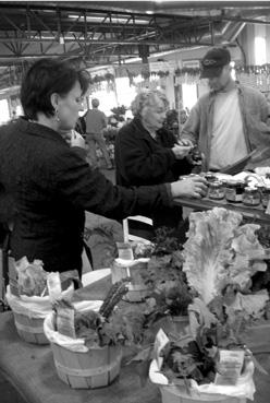 Iconographie - Marché couvert près du port de plaisance