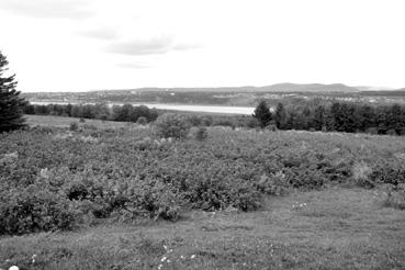 Iconographie - Vignes sur l'île d'Orléans