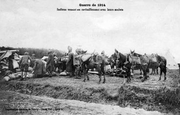 Iconographie - Guerre de 1914 - Indiens venant au ravitaillement avec leurs mulets